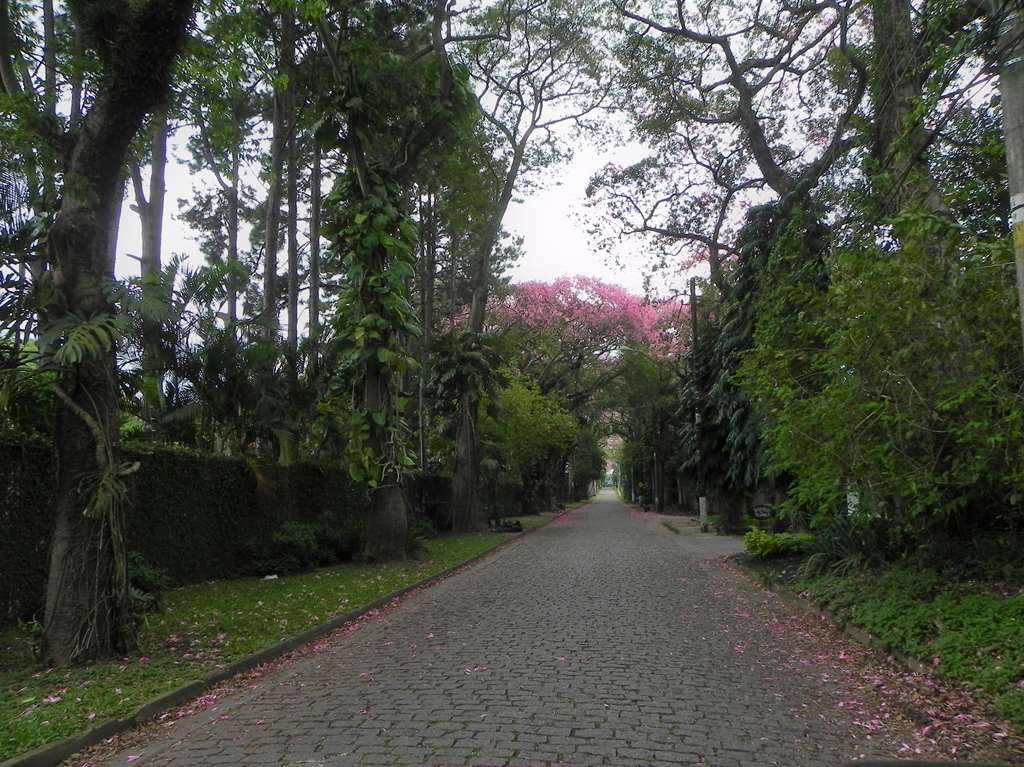 Casa com 3 suítes, 3 vagas e 147,48m² a/c na Granja Viana, foto 11 de 39