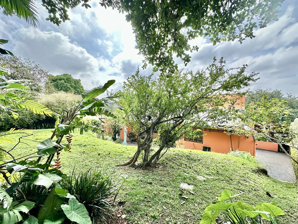Casa com 4 dormitórios / sendo 1 suíte / Granja Viana / por 1.493.000,00, foto 35 de 60