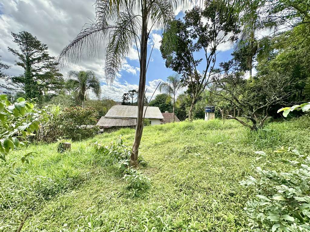 Chácara 4.900 m², Km 29 Rap. Tavares, foto 58 de 60