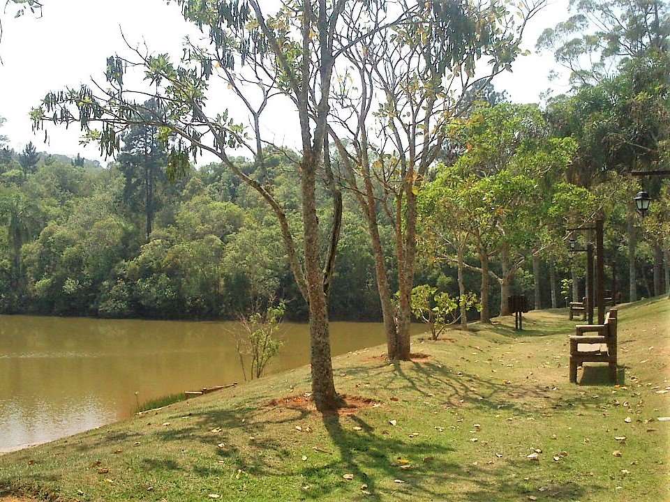 Casa linda de Arquiteto com 4 suítes na Granja Viana, foto 7 de 55