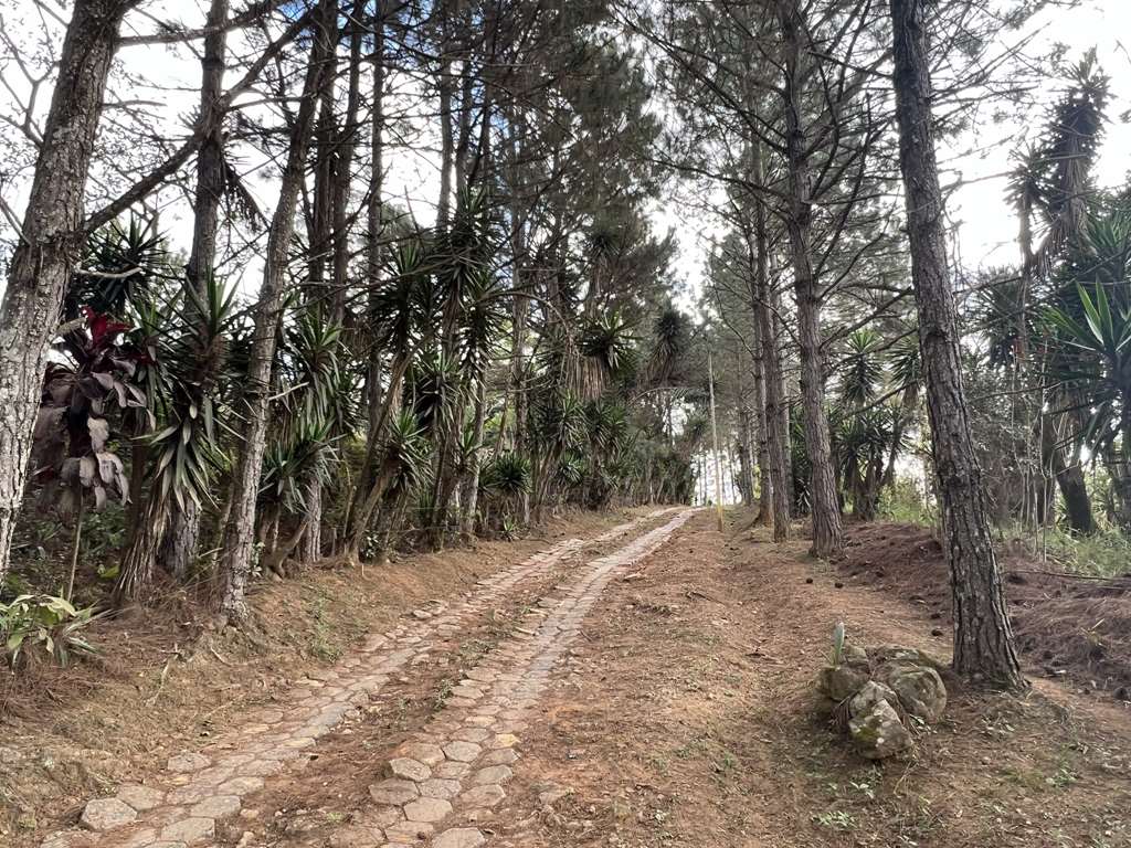 Área para Incorporação / 18.455m², foto 6 de 30