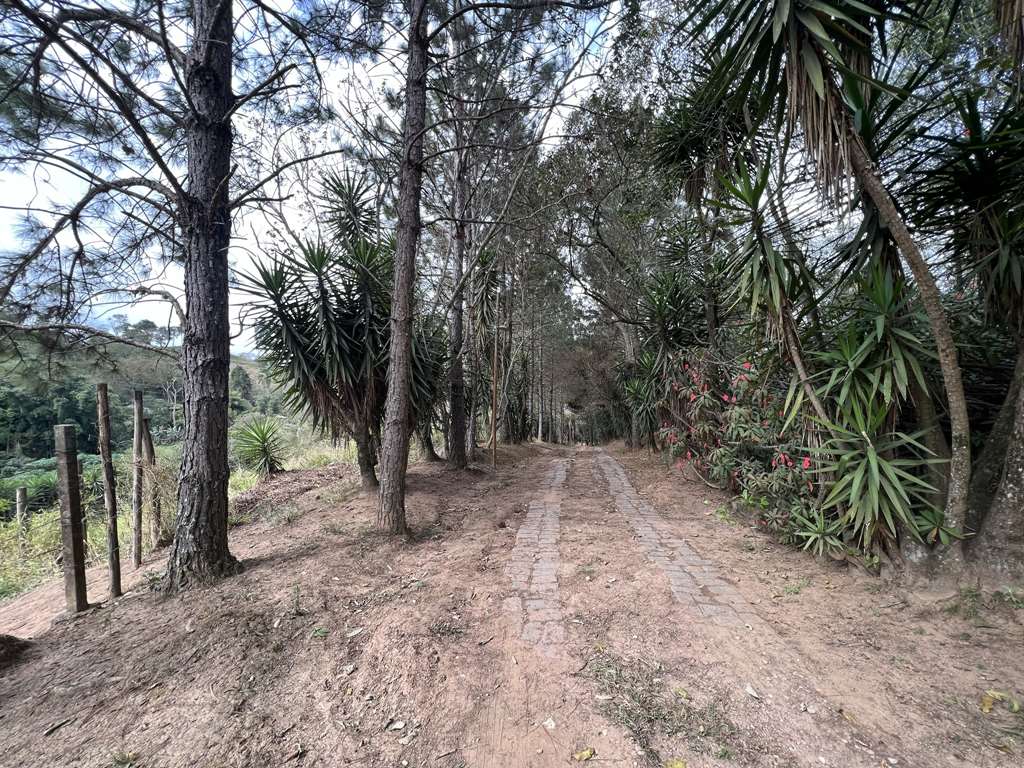 Área para Incorporação / 18.455m², foto 7 de 30