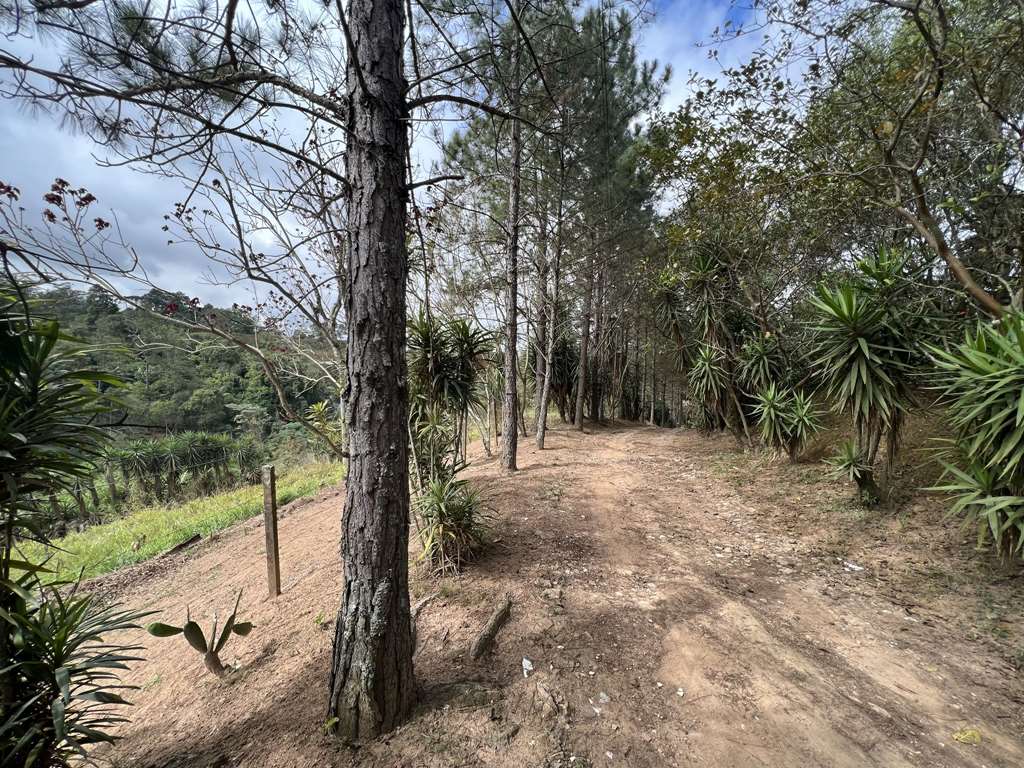 Área para Incorporação / 18.455m², foto 12 de 30