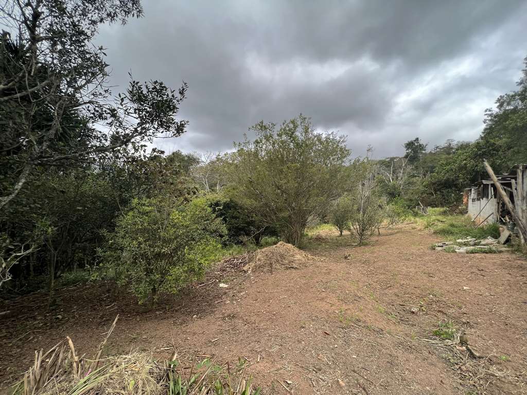 Área para Incorporação / 18.455m², foto 15 de 30