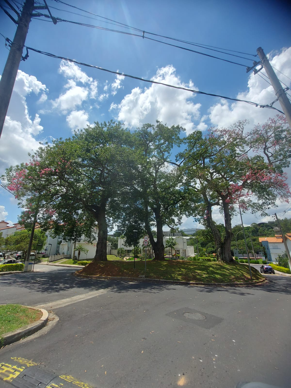 Linda Casa com 3 dormitórios /1 suíte na Granja Viana, foto 48 de 48