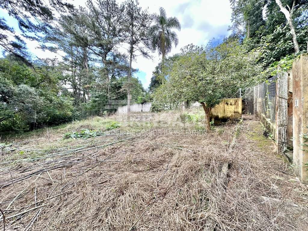 Chácara 4.900 m², Km 29 Rap. Tavares, foto 56 de 60