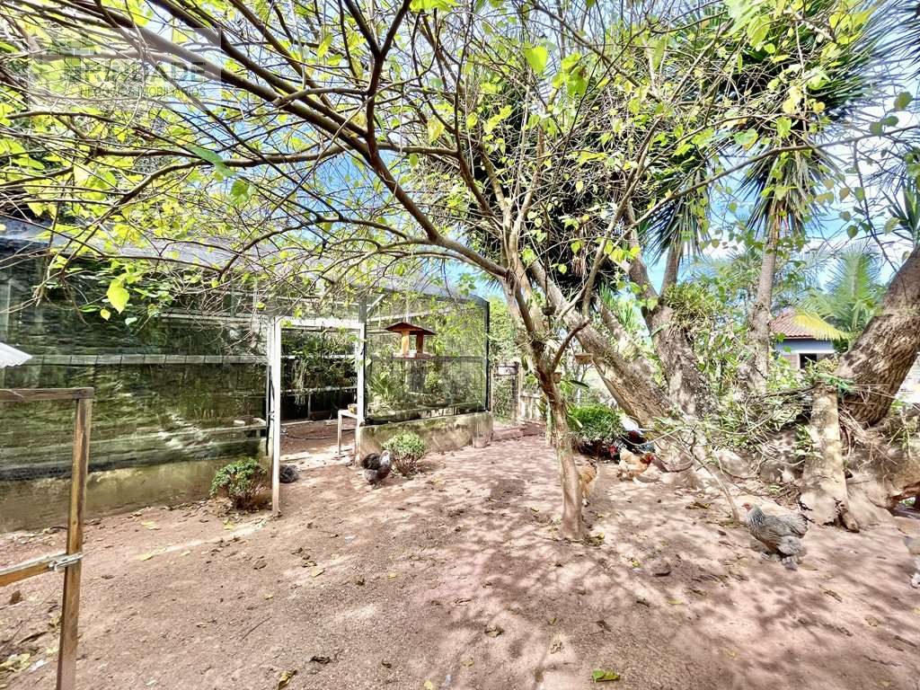 Casa com 4 dormitórios / 2 suíte na Granja Viana, foto 46 de 53
