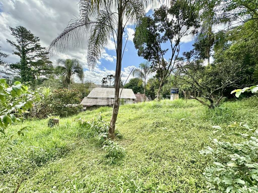 Chácara 4.900 m², Km 29 Rap. Tavares, foto 58 de 60