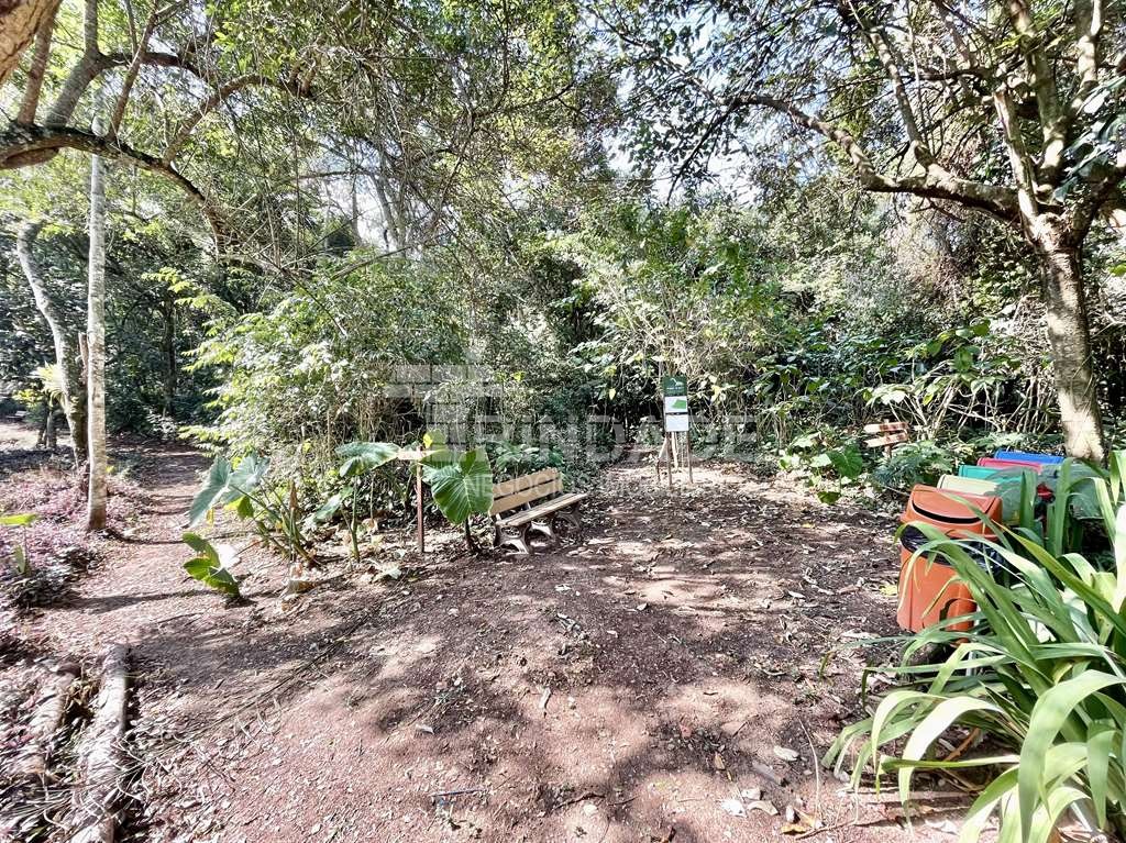  ÁREA RESIDENCIAL com 4.900 m², foto 5 de 12