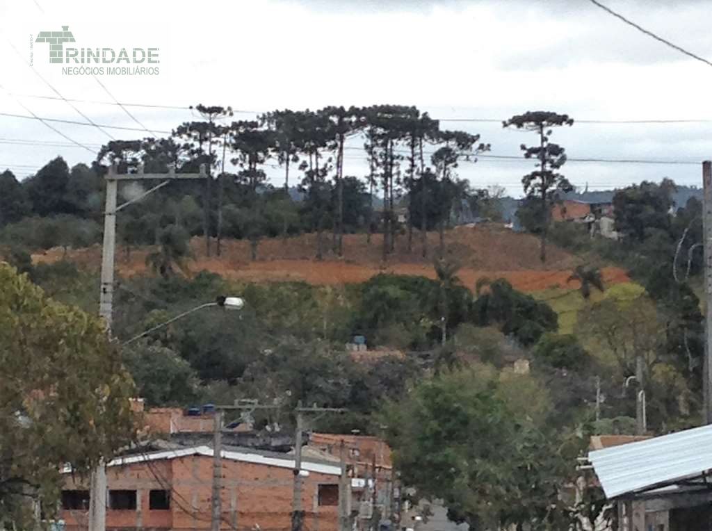Área 2.740m², próximo ao centro de Cotia, foto 3 de 8