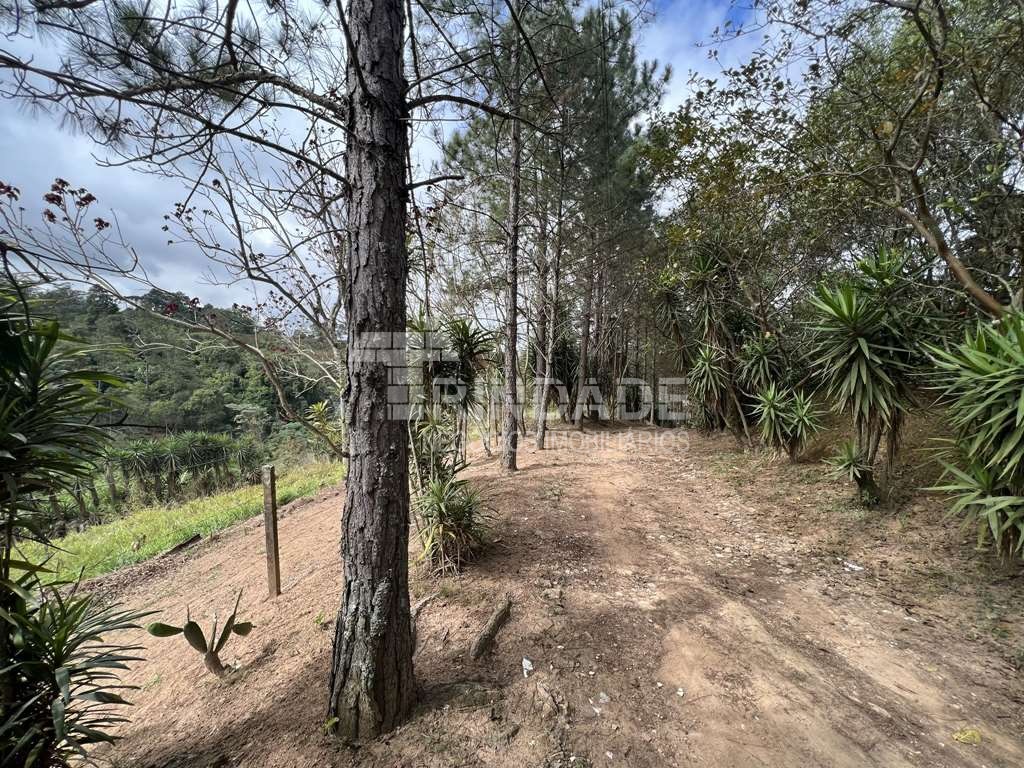 Área para Incorporação / 18.455m², foto 12 de 30