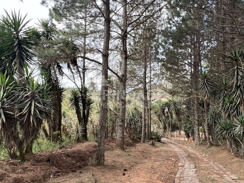 Área para Incorporação / 18.455m², foto 8 de 30